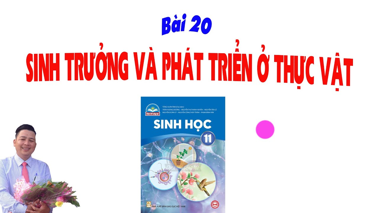 Sinh 11 CTST_Bài 20 Sinh Trưởng Và Phát triển Ở Thực Vật