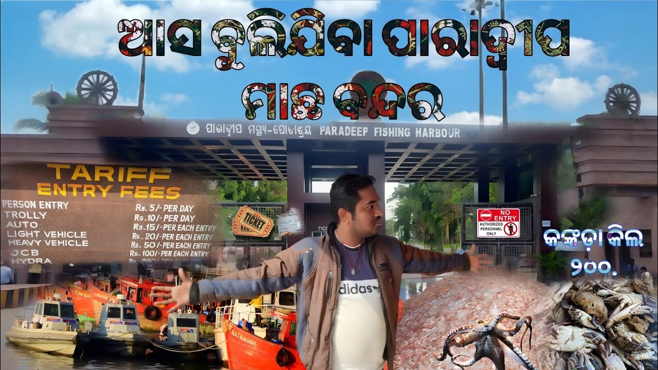 ପାରାଦ୍ଵୀପ ମାଛ ବନ୍ଦର 🐠||ଛୋଟ ଅକ୍ଟପୋସ୍ ମାଛ ଓ ସମୁଦ୍ର କଙ୍କଡ଼ା ମାତ୍ର 200|| Paradeep Machha Bandar||#2025