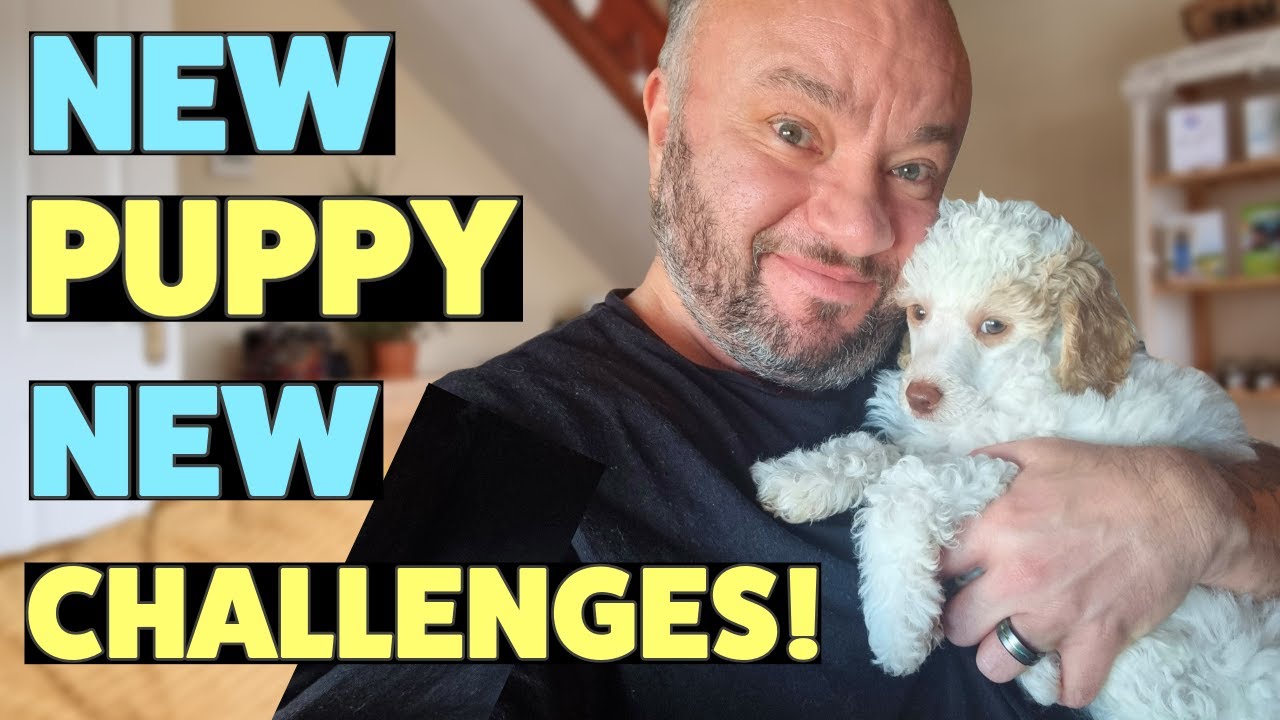Balancing ME/CFS Energy Limits And Puppy Care