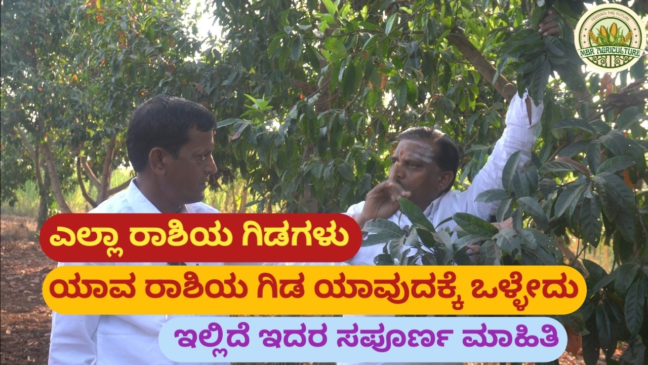 ಸಾವಯವ ತರಕಾರಿ ಕೃಷಿ ಮಾಡುವ ರೈತ Part - 4 II Farmer farming a Organic Vegetables Part - 4 II