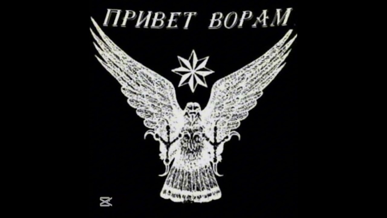 Dolya Varavskaya NEW 2026 