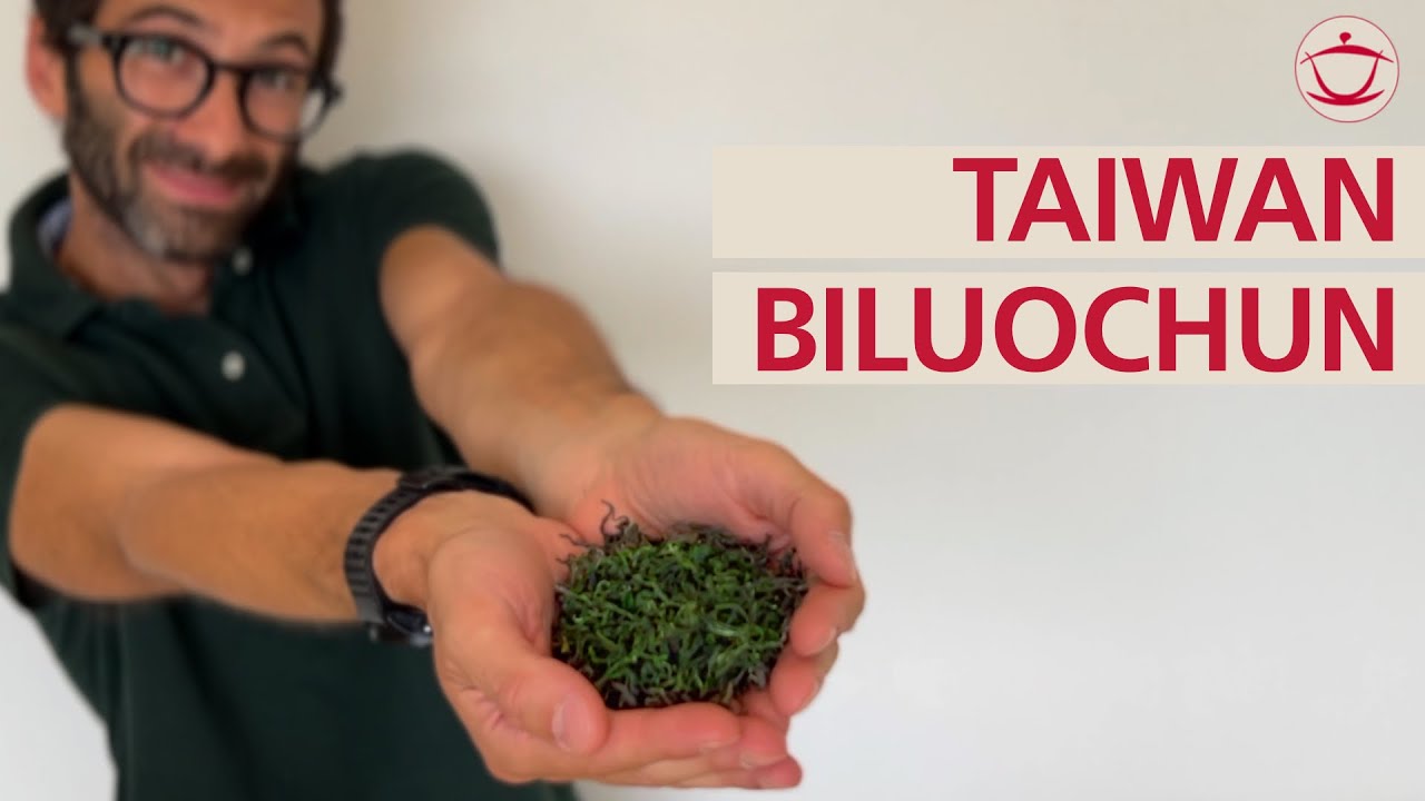 Biluochun from Sanxia, Taiwan: History and taste of the only Taiwanese green tea.
