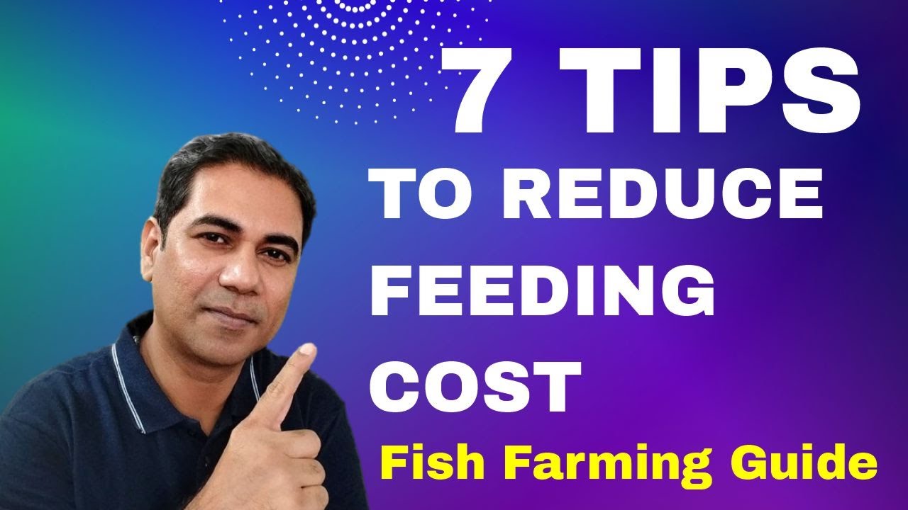 7 Proven Tips to Reduce Your Fish Feeding Costs! मछली की आहार लागत को कम करने के 7 सिद्ध युक्तियाँ!
