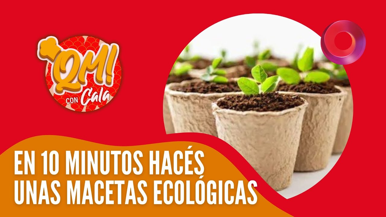 Macetas biodegradables ¡es posible!