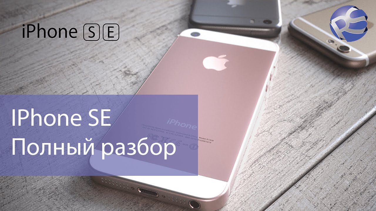 😎📱Разбираем #iPhone #SE по винтикам!