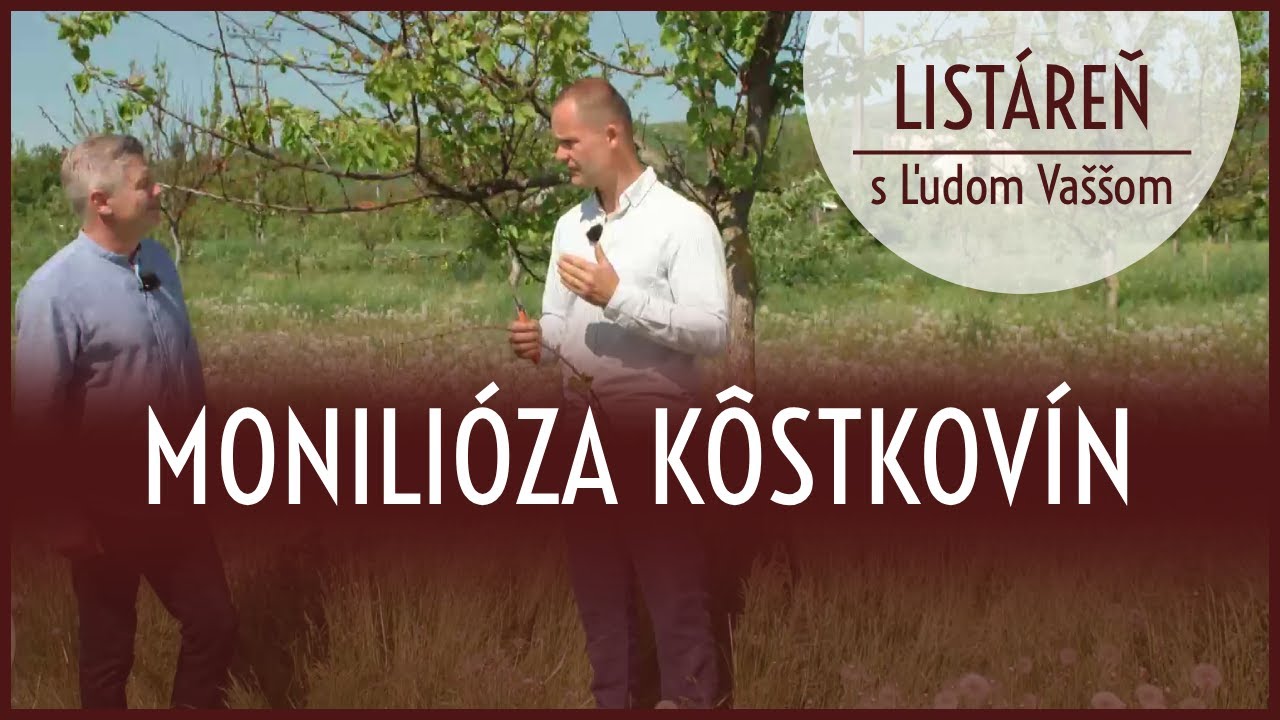 List&aacute;reň s Ľudom Va&scaron;&scaron;om - Monili&oacute;za k&ocirc;stkov&iacute;n
