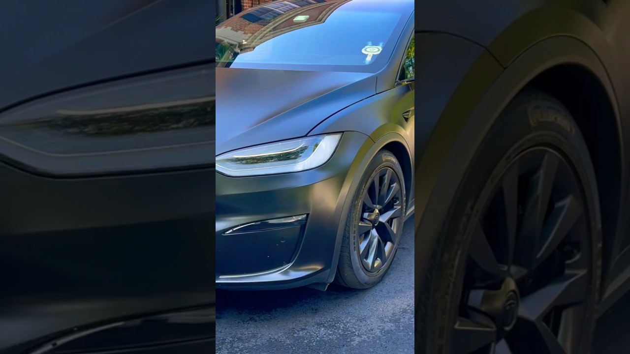 Satisfying Tesla Model X Plaid Detail