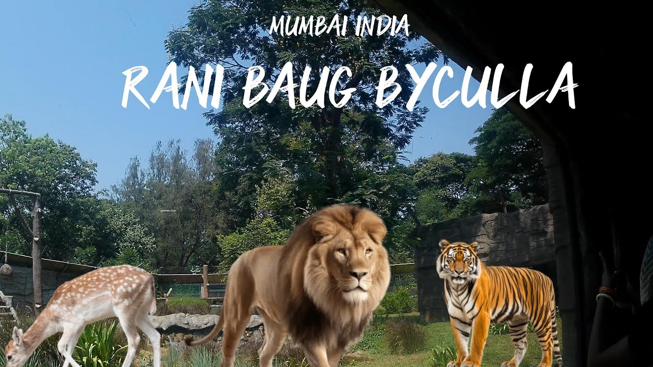  BYCULLA RANI BAG ZOO|Jijamata Udyaan|MUMBAI|🇮🇳