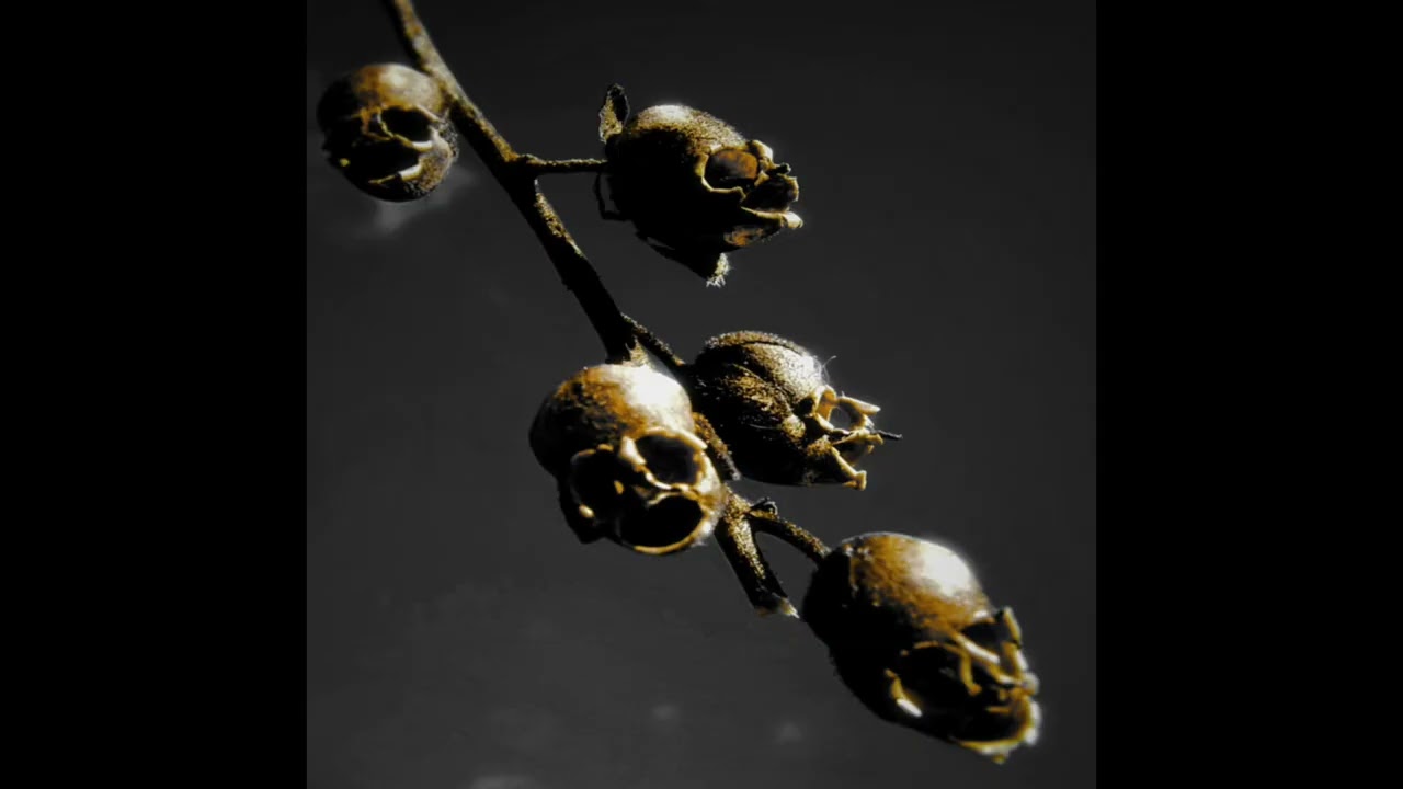 Dead On A Sunday - 