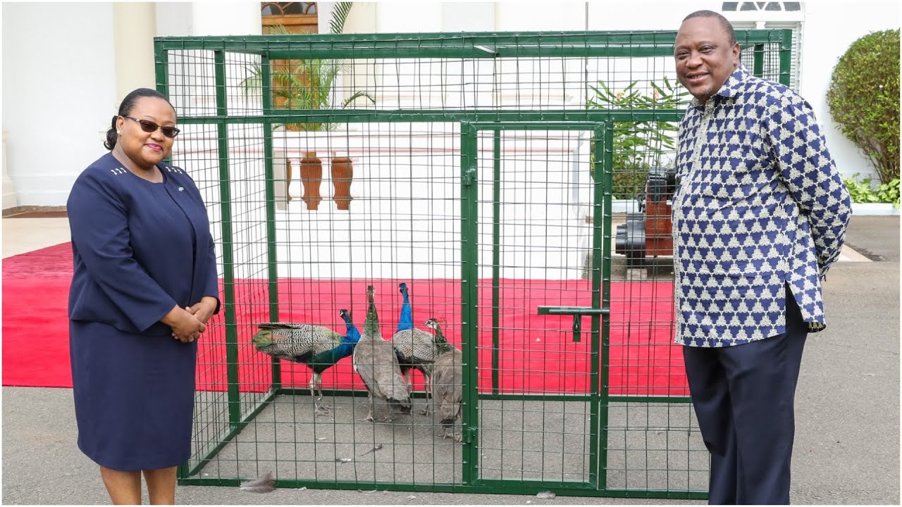 LATE PRESIDENT MAGUFULI'S GIFT TO PRESIDENT UHURU THAT BOOSTED THEIR BROMANCE!!!