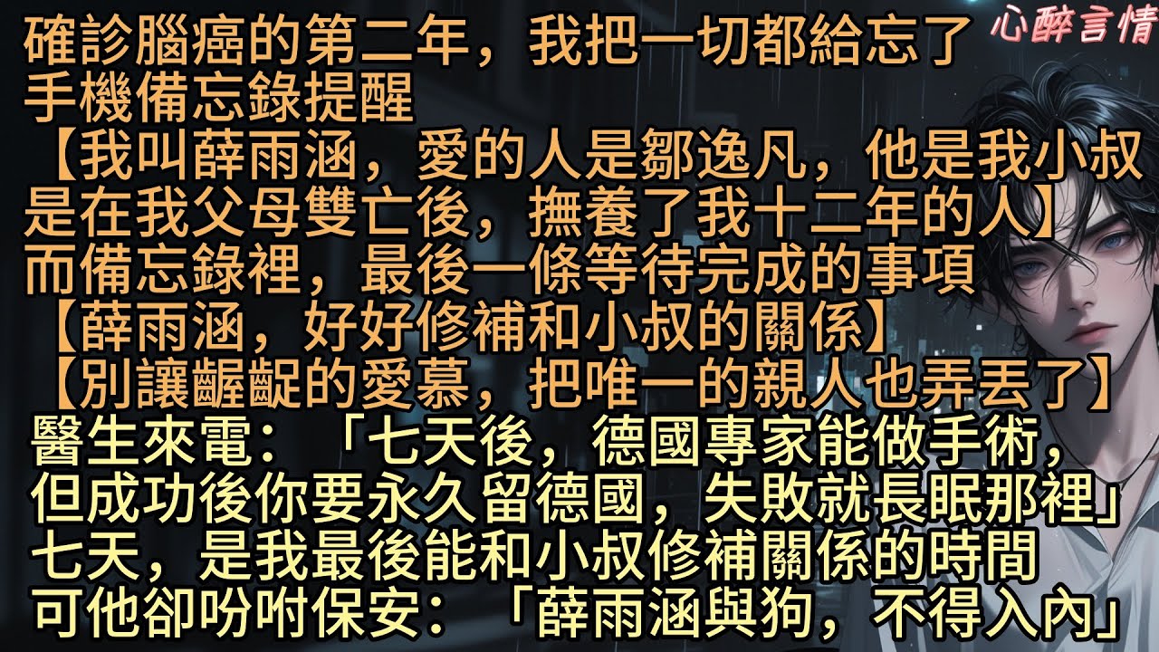 我最愛的人是小叔鄒逸凡，父母雙亡後，他獨力撫養了我十二年。確認腦癌第二年後，我忘了一切，而備忘錄提醒，最後一件等待完成的事：「薛雨涵，好好修補和小叔的關係吧，別讓你齷齪的愛慕，把最後一個親人也弄丟了」