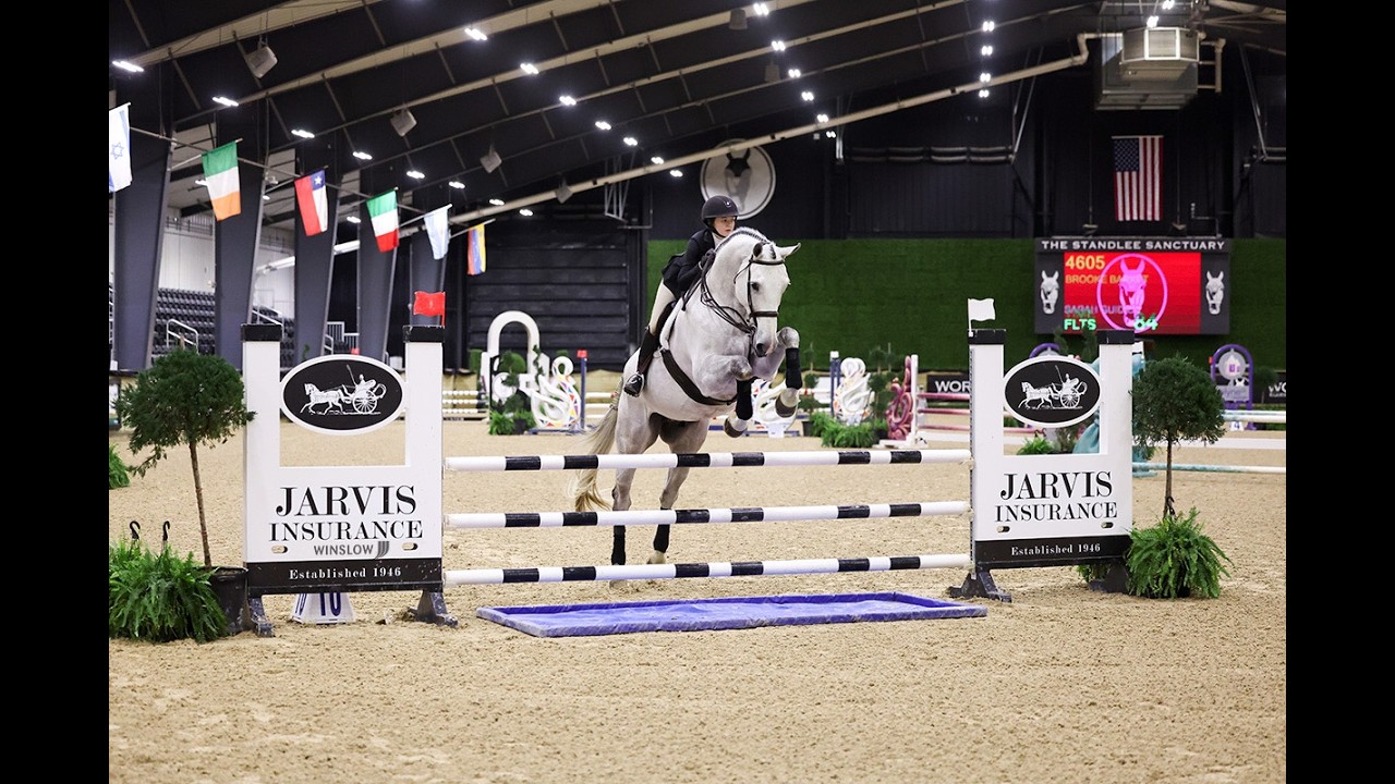 Untouch Du Faurieu Z • WIHS Jumper Phase Winner