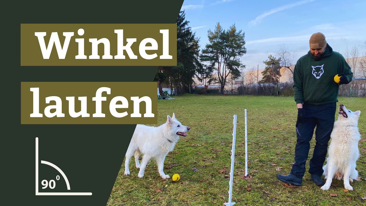 Winkel laufen für die Begleithundeprüfung - Mehrere Trainingsvarianten