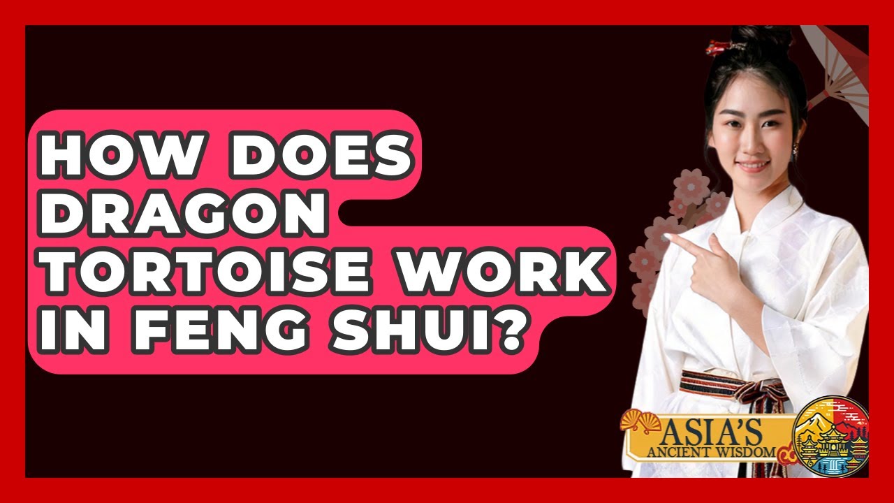 How Does Dragon Tortoise Work In Feng Shui? - Asia's Ancient Wisdom