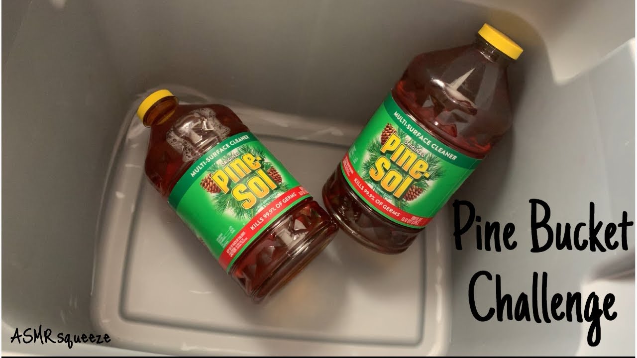Pine Bucket Challenge/ASMRsqueeze