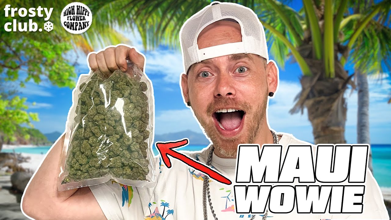 Maui Wowie Gave Us Island Vibes! - THCa Strain Review