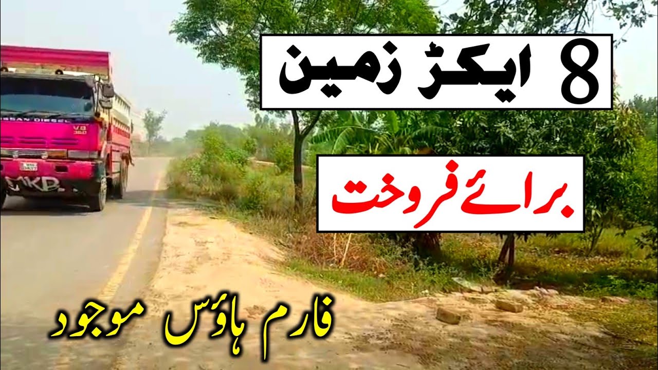 8 Acre Agricultural Land for Sale in Punjab, Pakistan | Episode 107
