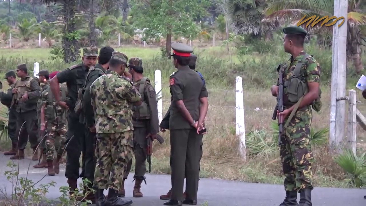 Heavy STF and military search operation following Palai shooting