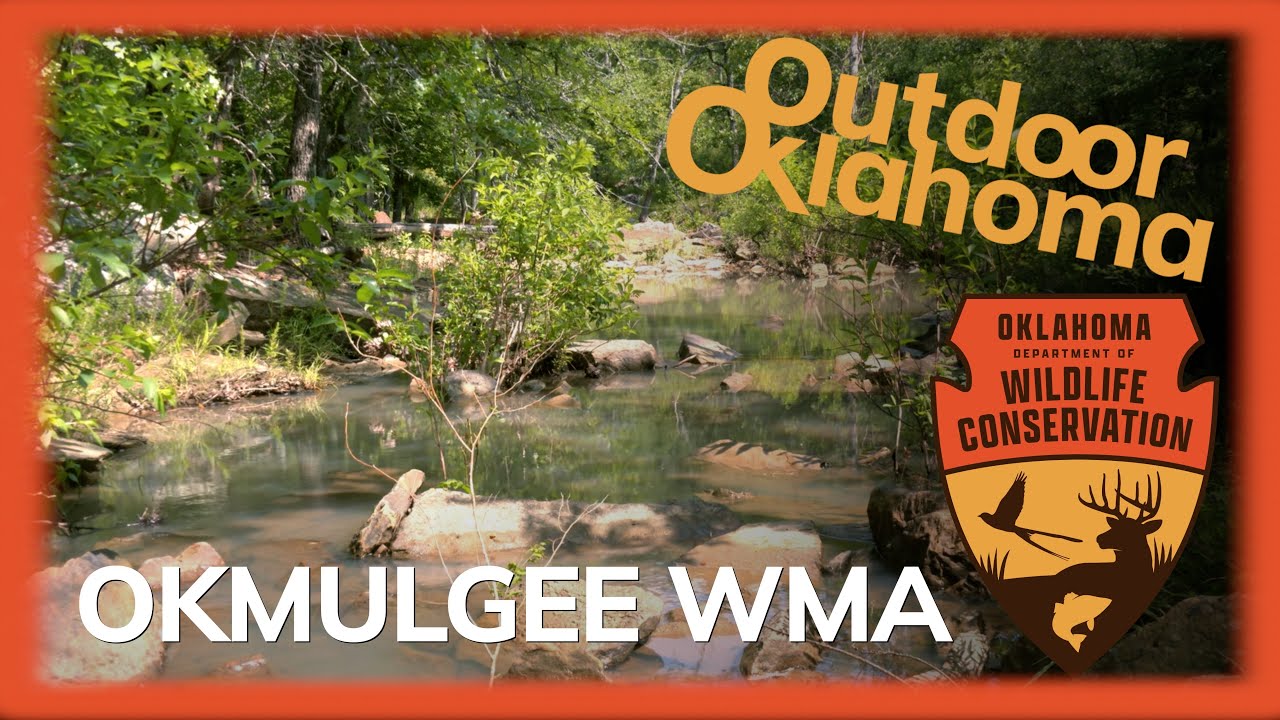 Okmulgee WMA