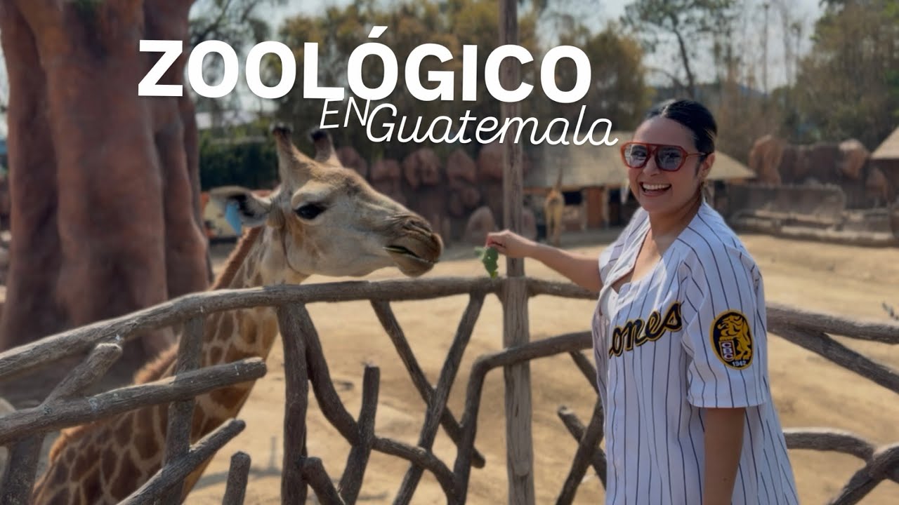 El ZOOLÓGICO MÁS IMPORTANTE de Centroamérica 🇬🇹 / vlog 