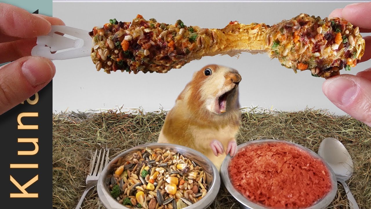 HAMSTER FOOD MUKBANG!   | ASMR eating sounds no talk