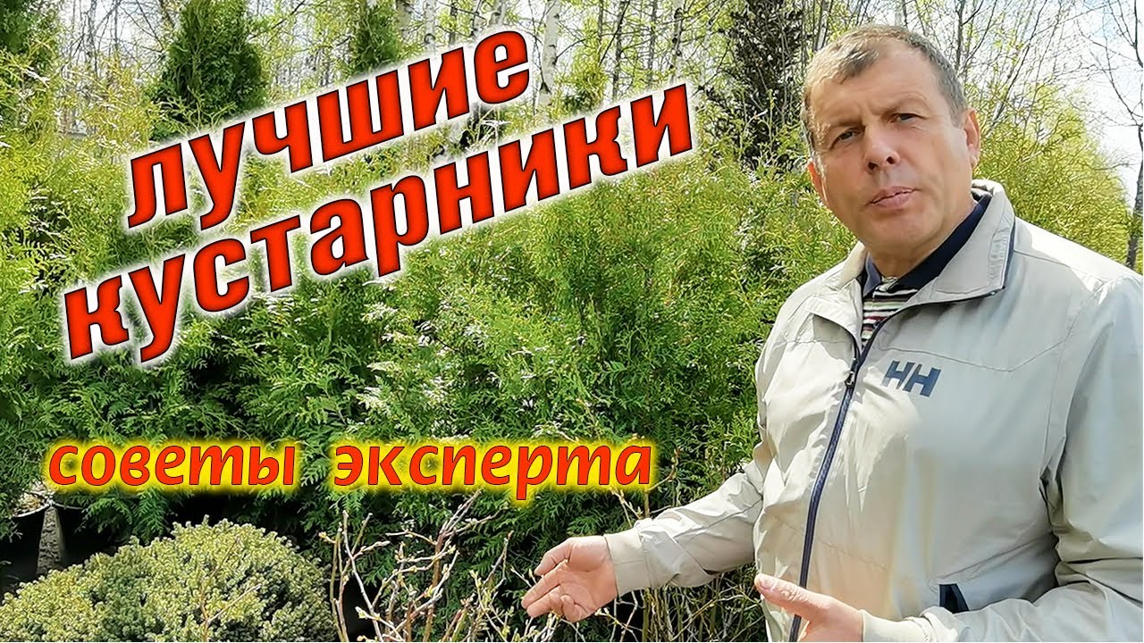 Тайны выбора кустарников для сада, как выбрать растения🌿