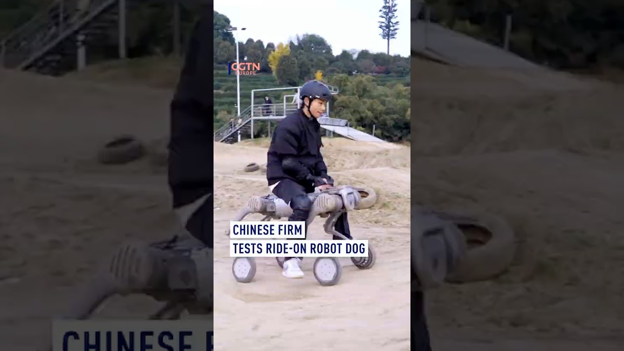 Meet the future of mobility: Chinese firm unveils ride-on robot dog