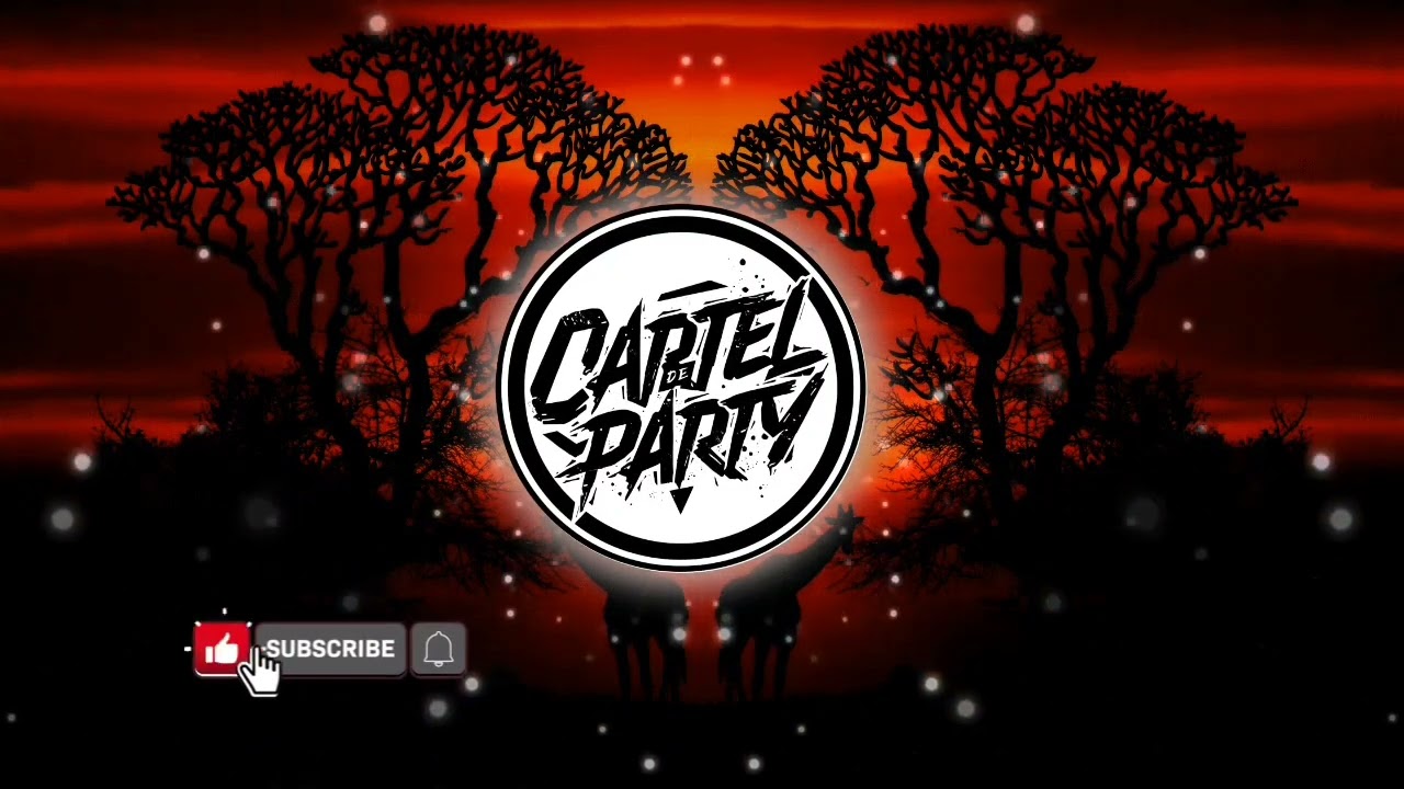 WE RUN THE NIGHT | Cartel de Party