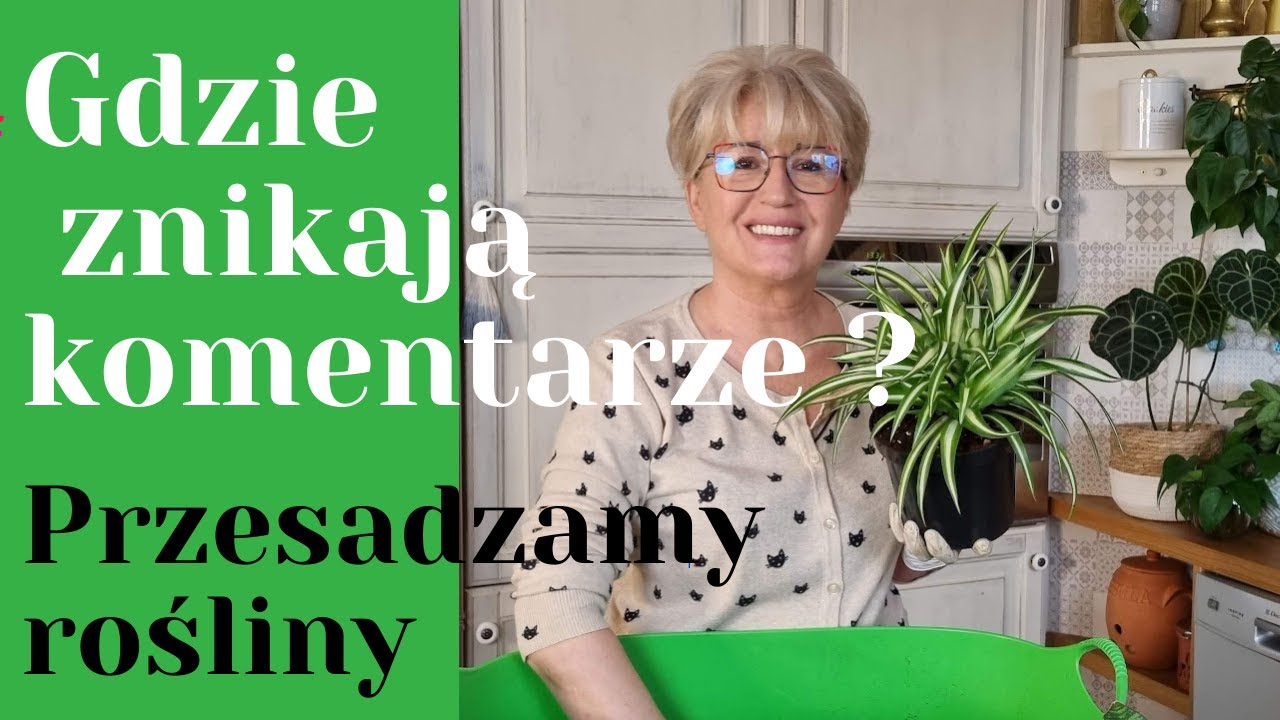 PRZESADZAM ROŚLINY/ GDZIE ZNIKAJĄ KOMENTARZE?