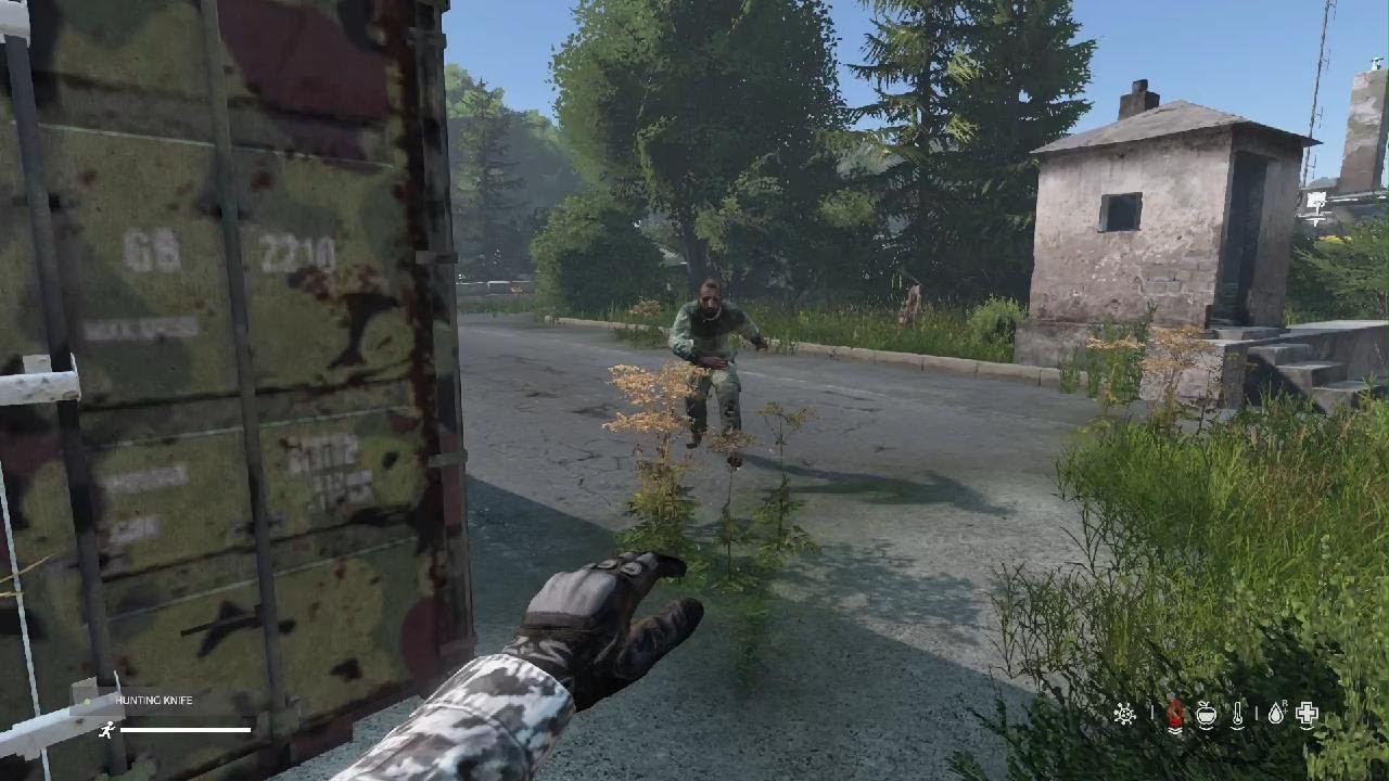 DayZ_20251217194052