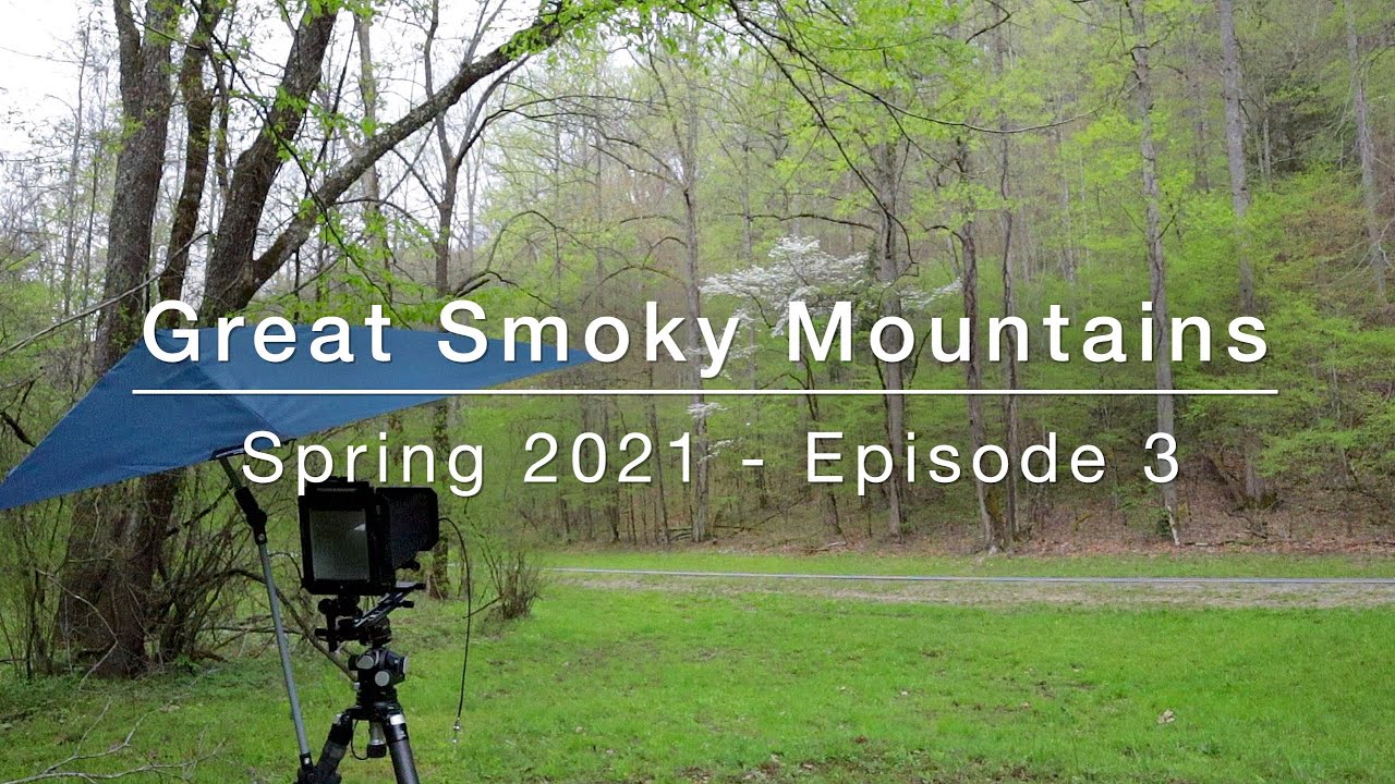 Photographing the Smokies - Large Format - Spring 2021: Episode 3