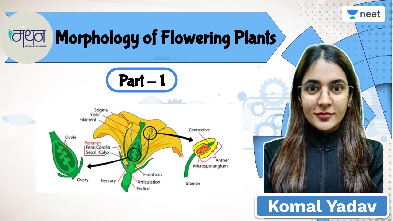 Morphology Of Flowering Plants | Part 1 | NEET 2022/23 | Komal Yadav