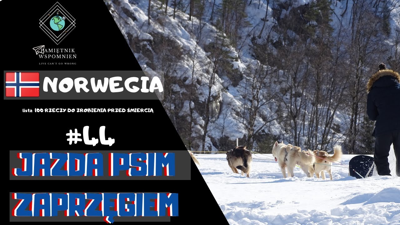 Psi zaprzęg - Lista 100 rzeczy do zrobienia - Bucket List #44