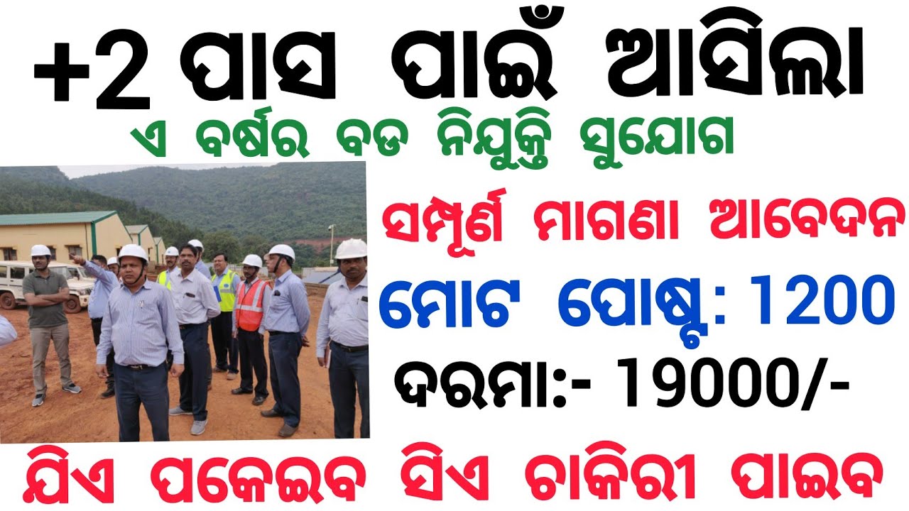 12th pass odisha govt jobs 2021| odisha job updates 2021| odisha jobs|odisha job