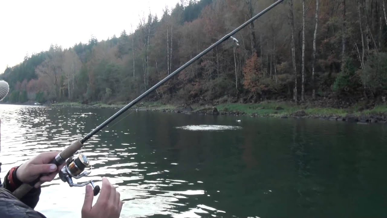 How To Twitch Jigs for Coho Salmon