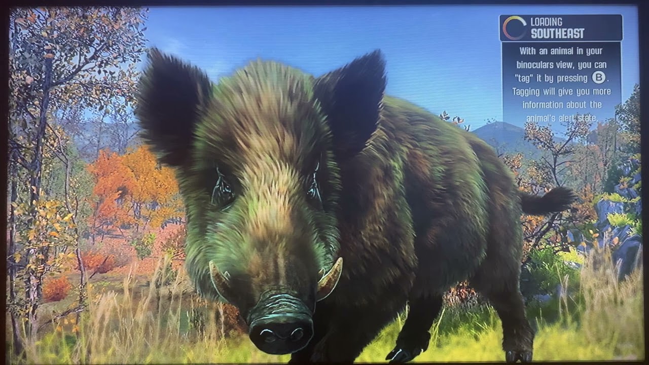 cabelas big game hunter pro hunts 2014 wii u