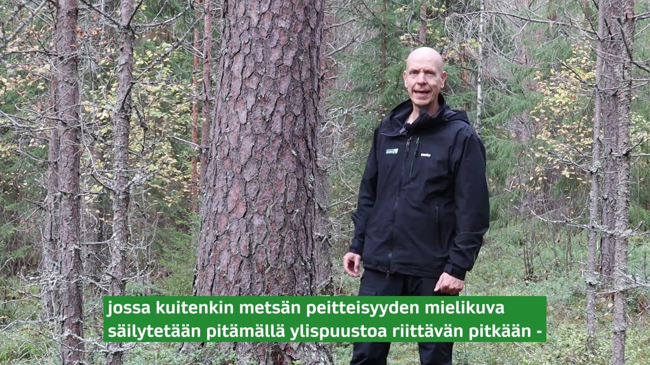 Palvaanjärven jatkuvan kasvatuksen mallikohteet