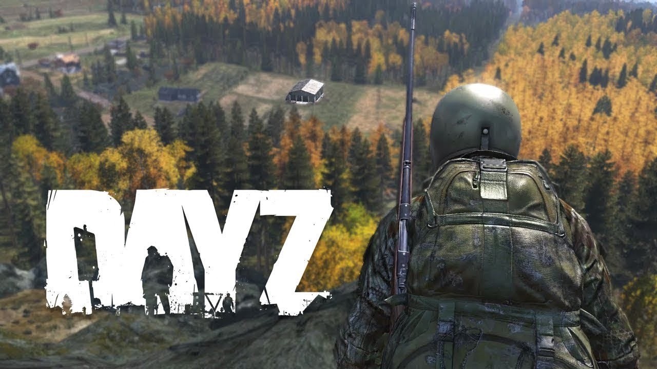 Выживание ценой ошибки (DayZ).