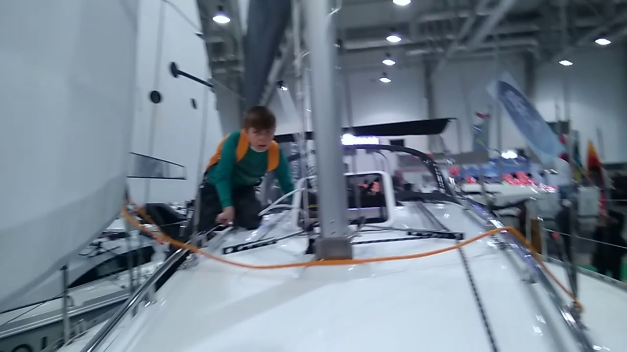 Hornet 29