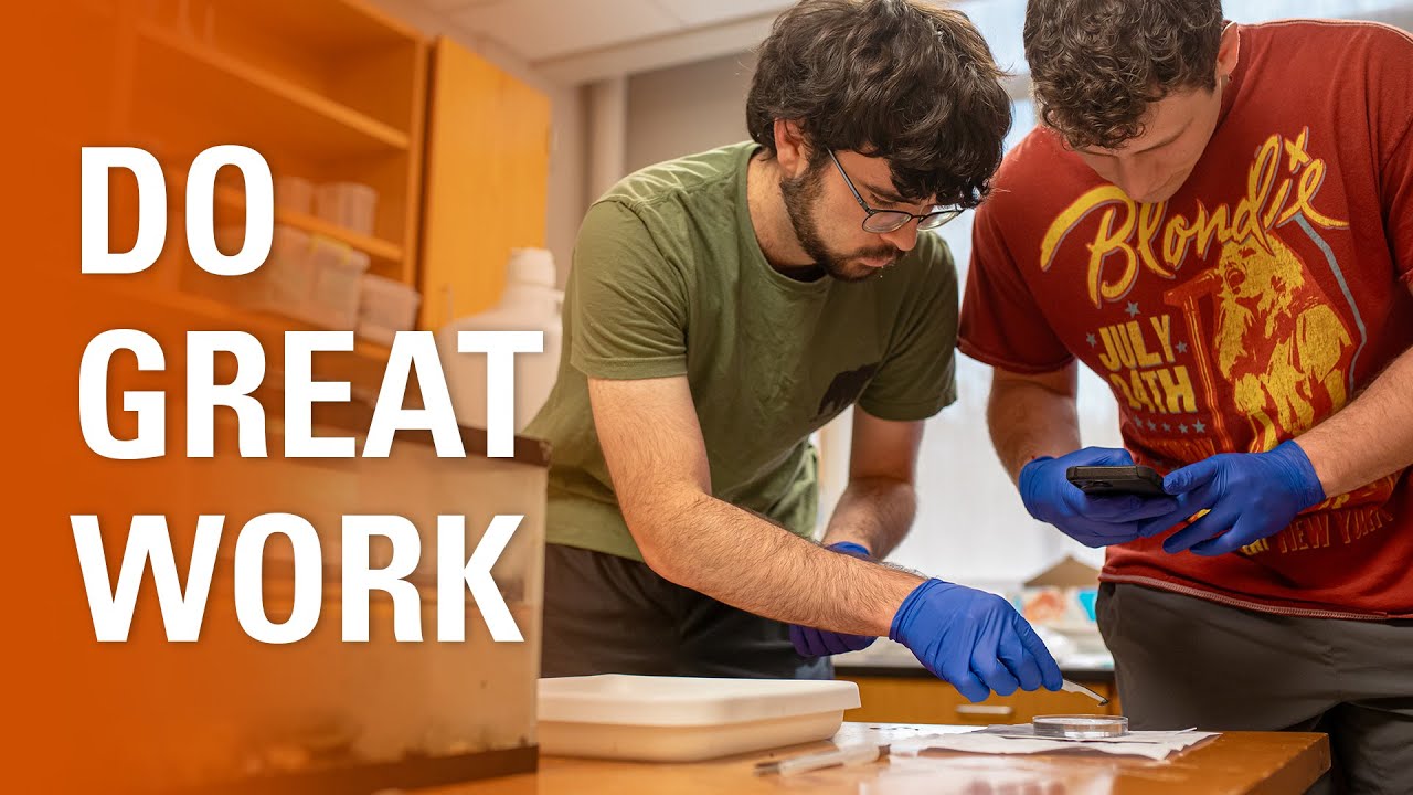 Let's Do Great Work