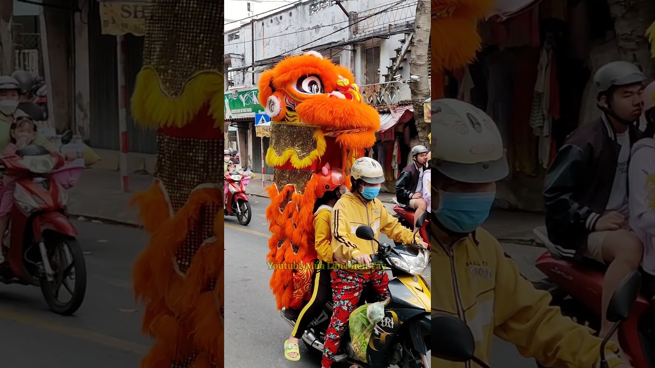 L&acirc;n Đi Xe Gắn M&aacute;y #funny #mualantet2025 #liondance #mualanongdia #mualanhay #bibitv #muaongdia