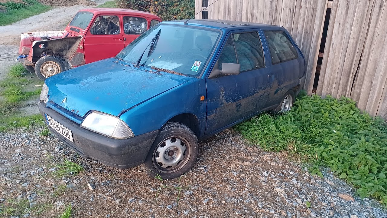 Citroen AX Teen Tonic nach 5 Jahren Standzeit draußen .Gartenfund!!!