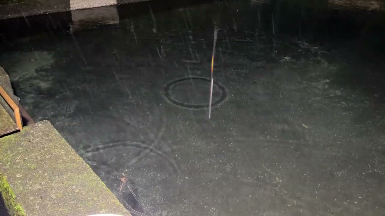 20251025飼育管理