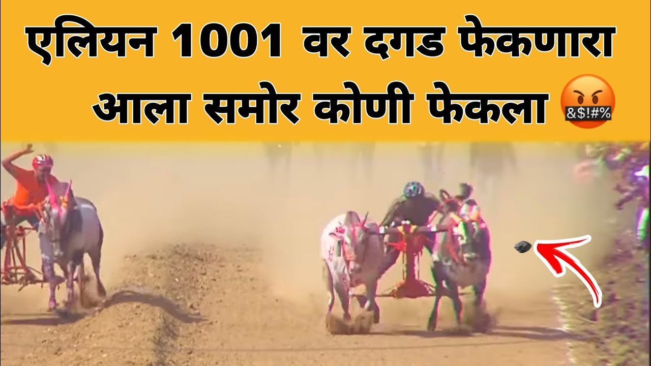 एलियन 1001 वर दगड फेकणारा आला समोर कोणी फेकला बघा 🤬 #नाद #बकासुर #बैलगाडा 