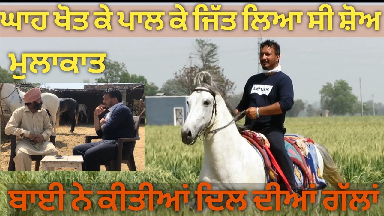 ਘਾਹ ਖੋਤ ਕੇ ਘੋੜਾ ਪਾਲ ਕੇ ਸ਼ੋਅ ਵੀ ਜਿੱਤ ਲਿਆ,, poor owner 's show winner horse