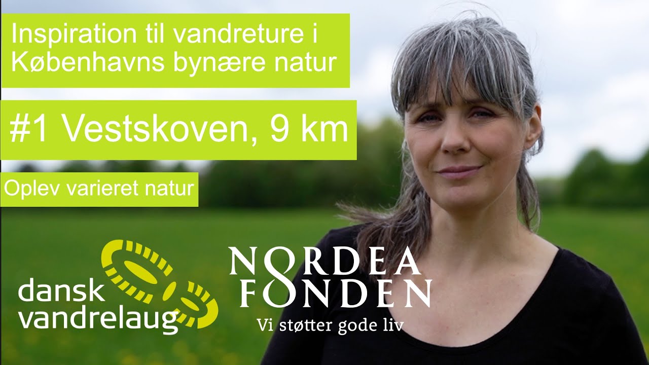 #1 Vestskoven – videoinspiration til 9 km vandretur