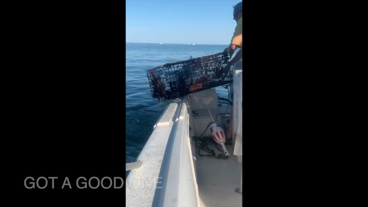 lobstering on Cape Cod Bay.  A nice day with a calm ocean and plenty of lobsters