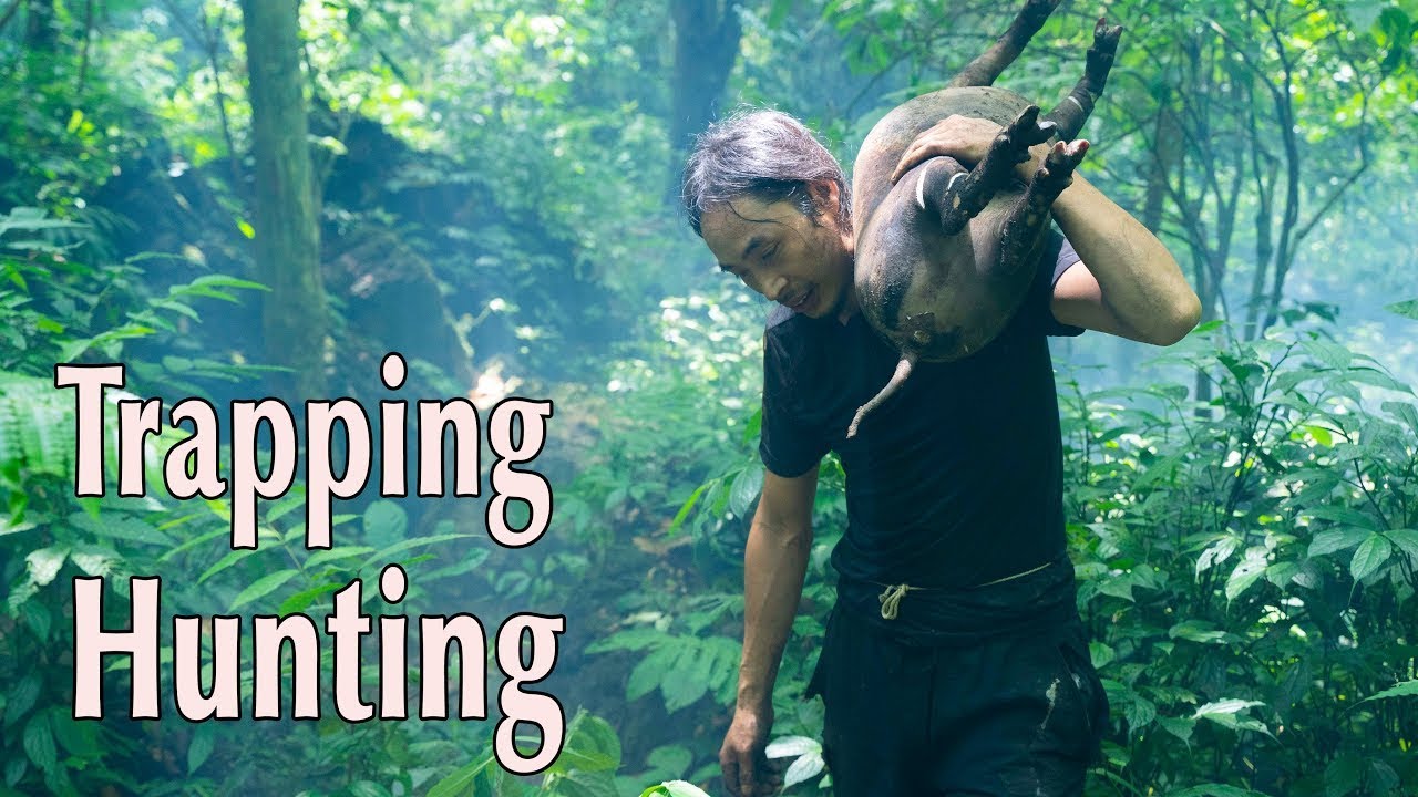 Survival In The Rainforest &ndash; Shelter, Hunting, and Setting Traps To Find Food To Survive.