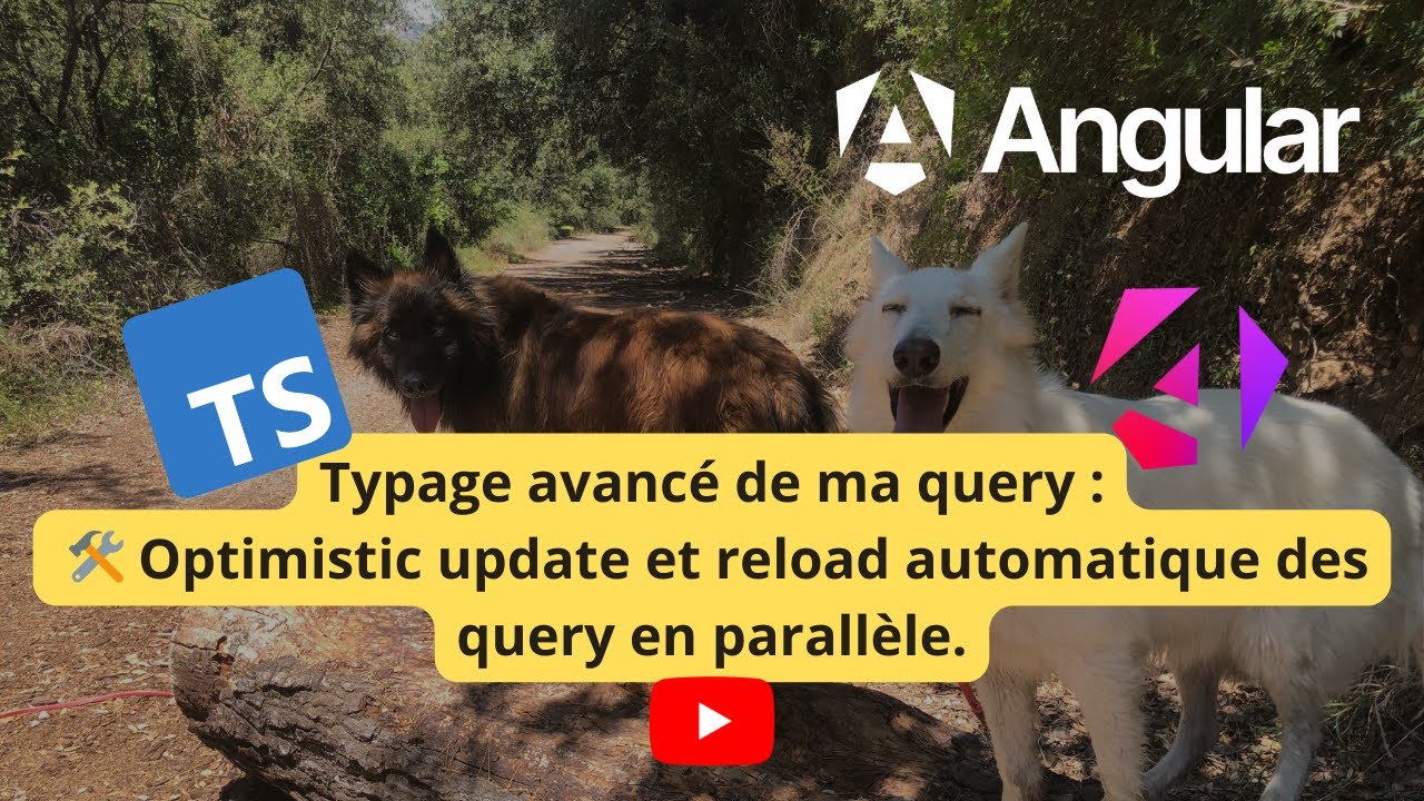 Typage avancé de ma query : 🛠️ Optimistic update et reload automatique des query en parallèle.