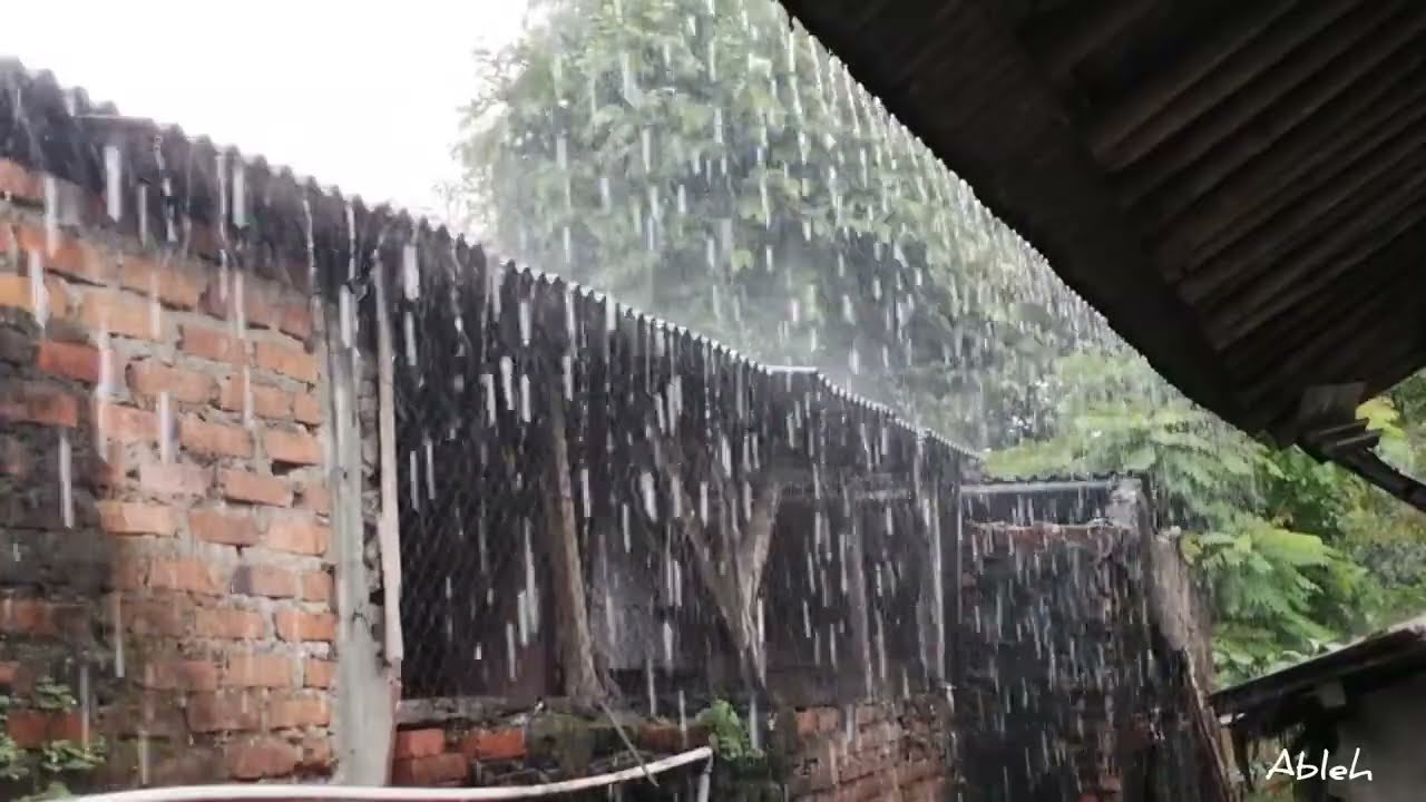 Звуки деревенского дождя для сна 🌧️🌧️,,,